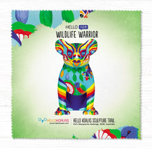 Glass Cleaning Cloths