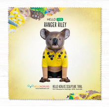 Glass Cleaning Cloths