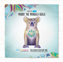 Glass Cleaning Cloths