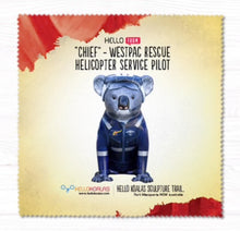 Glass Cleaning Cloths