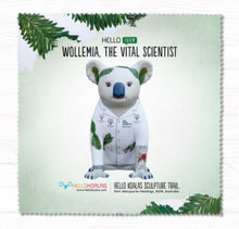 Glass Cleaning Cloths