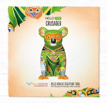 Glass Cleaning Cloths